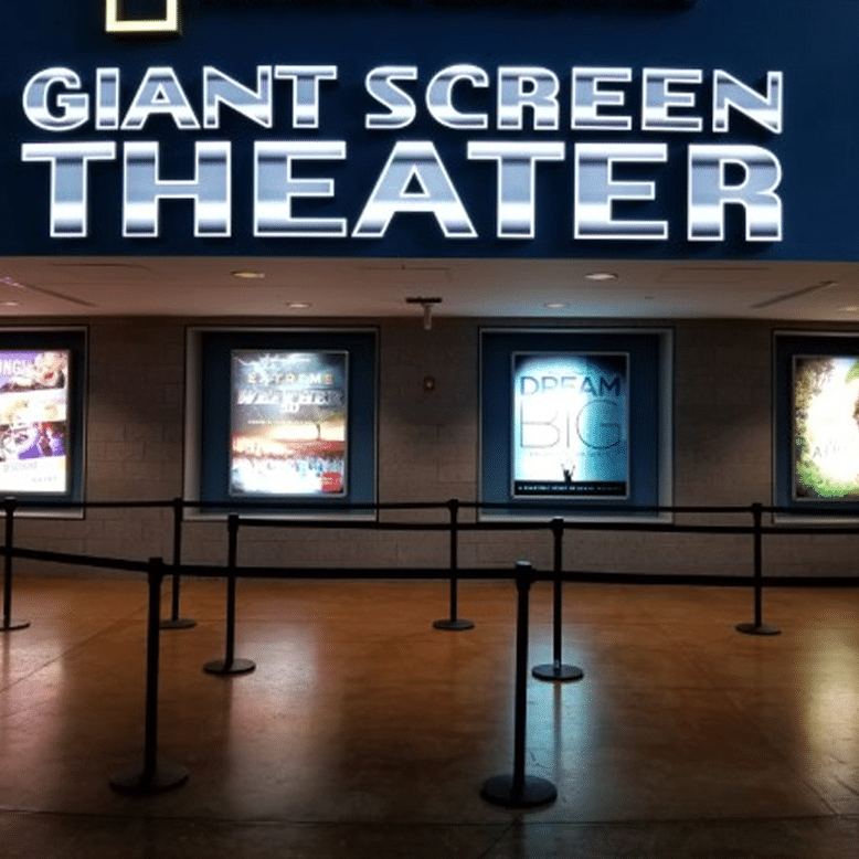 Backlit 8.5 Mil Film